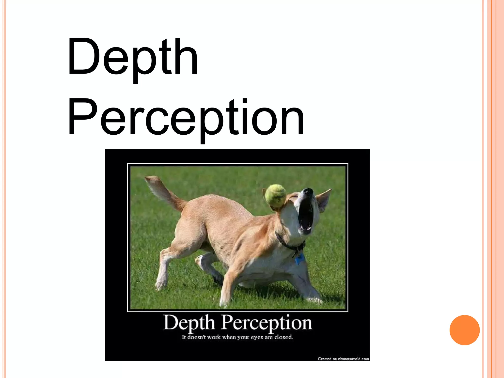 Depth
Perception
 