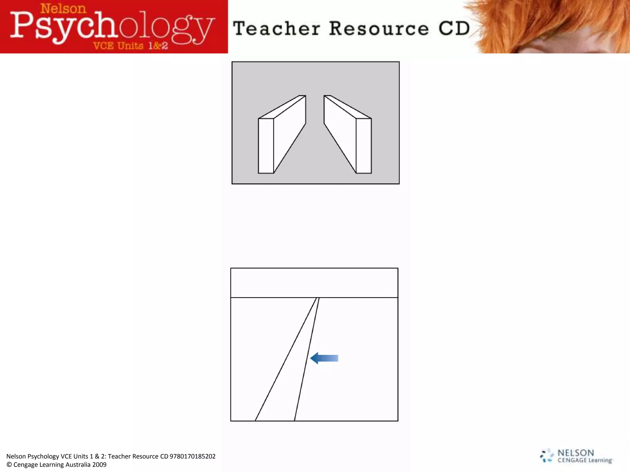 Nelson Psychology VCE Units 1 & 2: Teacher Resource CD 9780170185202
© Cengage Learning Australia 2009
 
