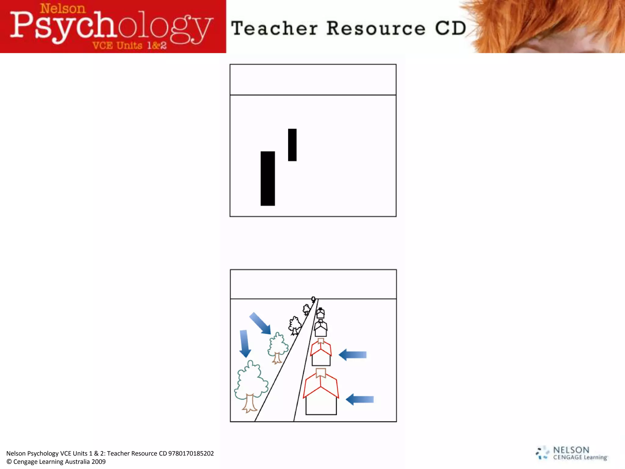 Nelson Psychology VCE Units 1 & 2: Teacher Resource CD 9780170185202
© Cengage Learning Australia 2009
 