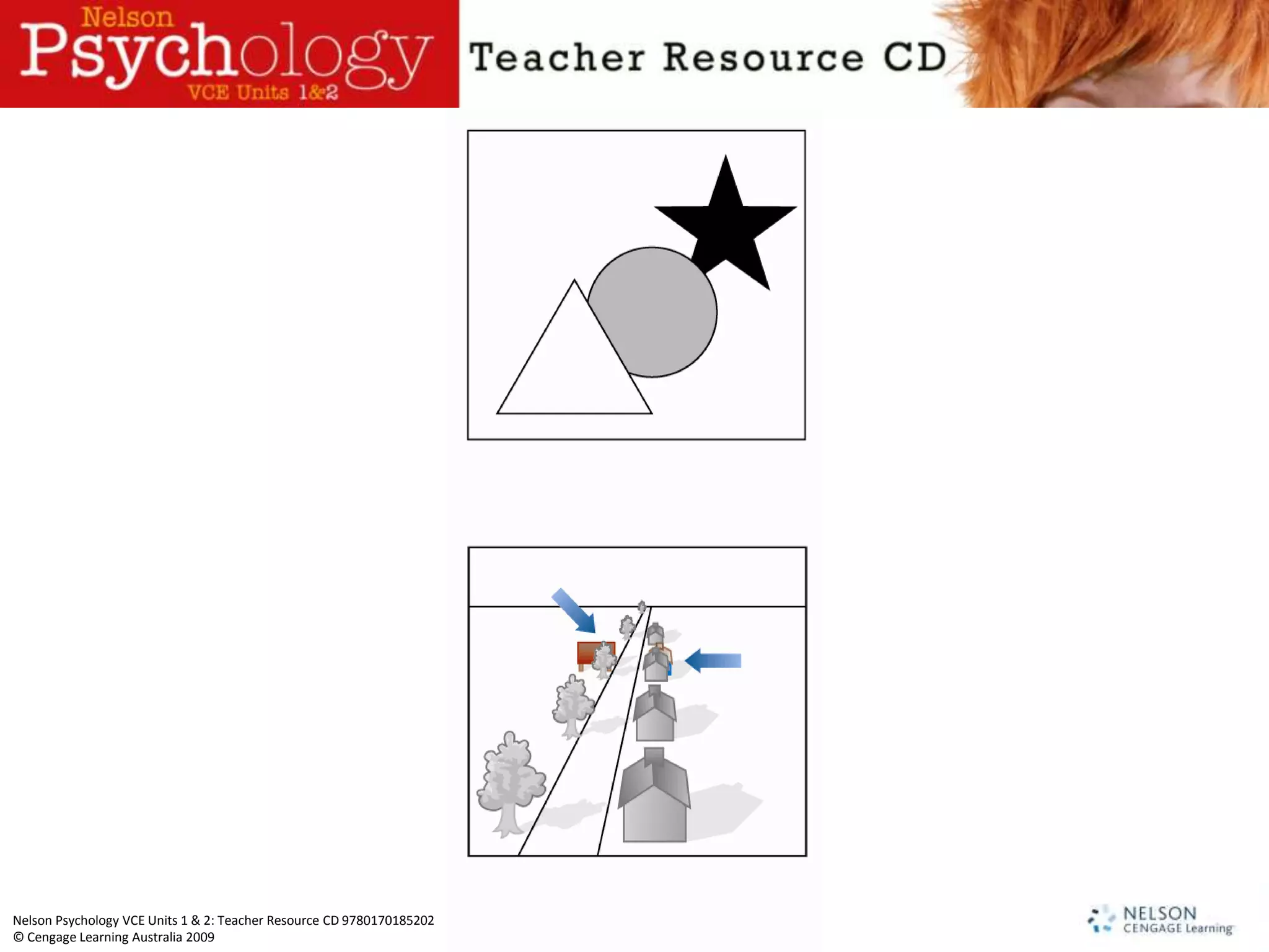 Nelson Psychology VCE Units 1 & 2: Teacher Resource CD 9780170185202
© Cengage Learning Australia 2009
 