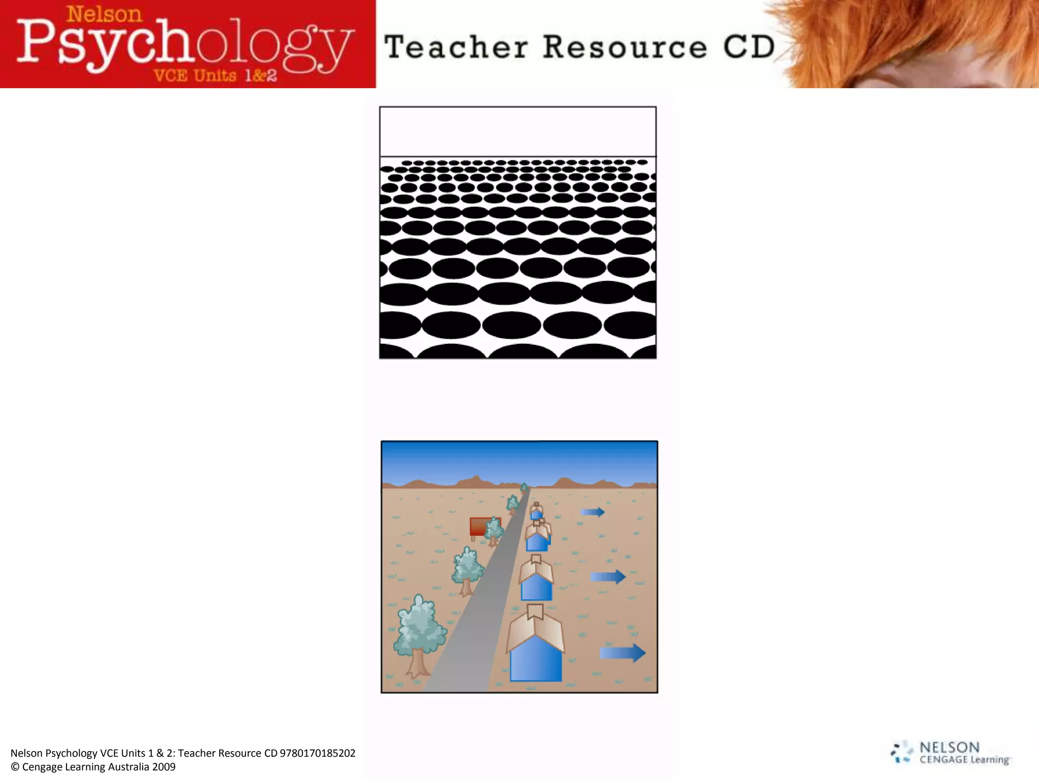 Nelson Psychology VCE Units 1 & 2: Teacher Resource CD 9780170185202
© Cengage Learning Australia 2009
 
