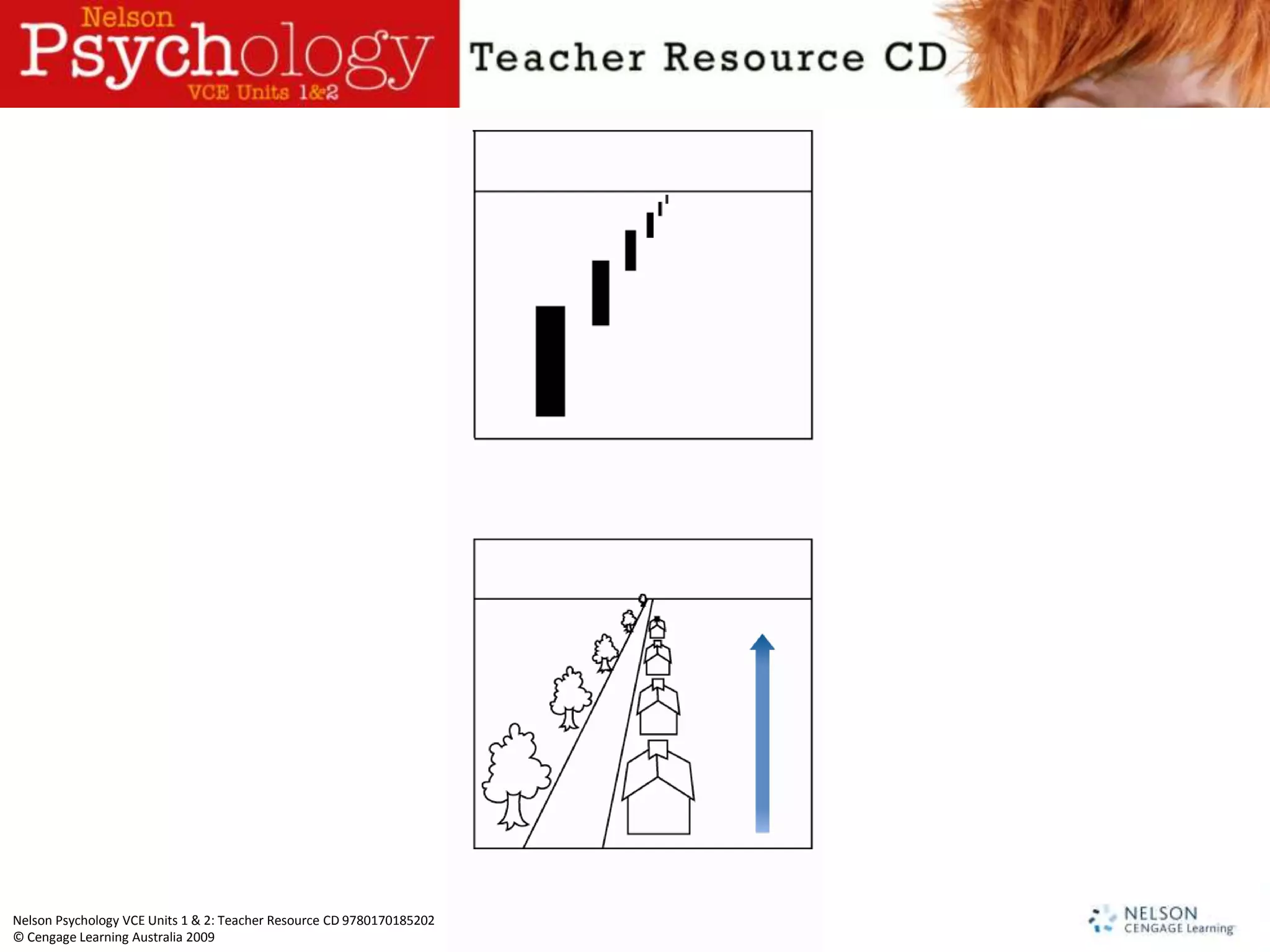 Nelson Psychology VCE Units 1 & 2: Teacher Resource CD 9780170185202
© Cengage Learning Australia 2009
 