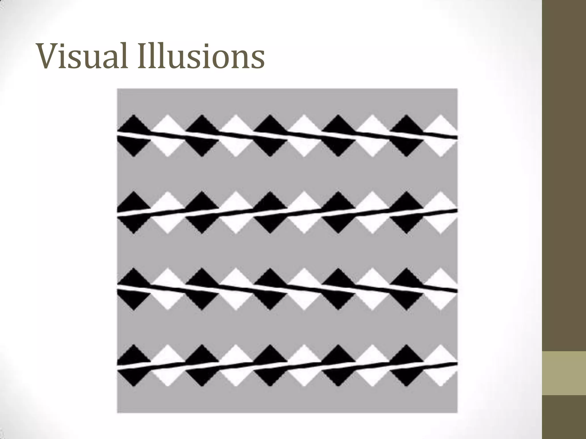 Visual Illusions
 