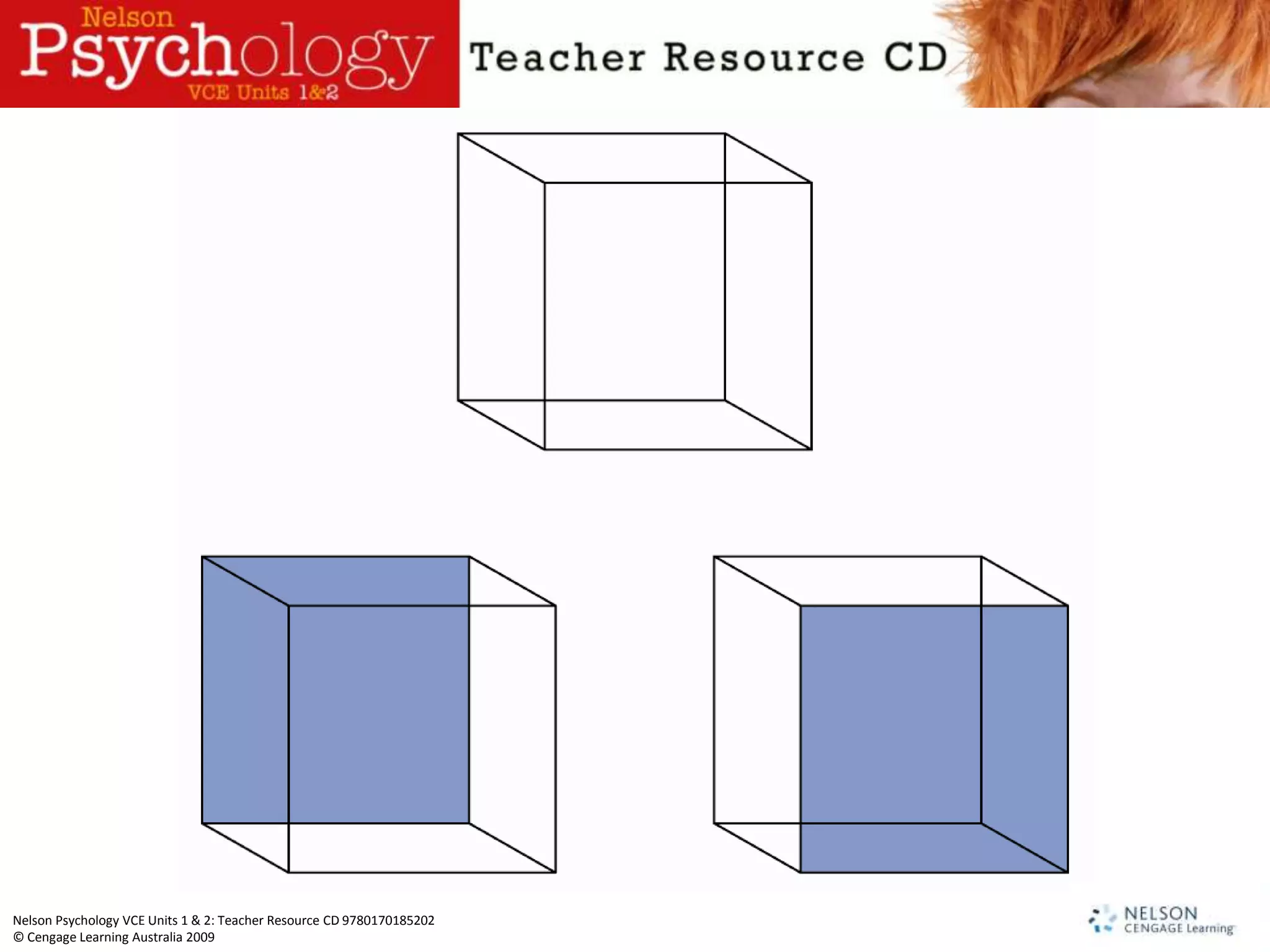 Nelson Psychology VCE Units 1 & 2: Teacher Resource CD 9780170185202
© Cengage Learning Australia 2009
 