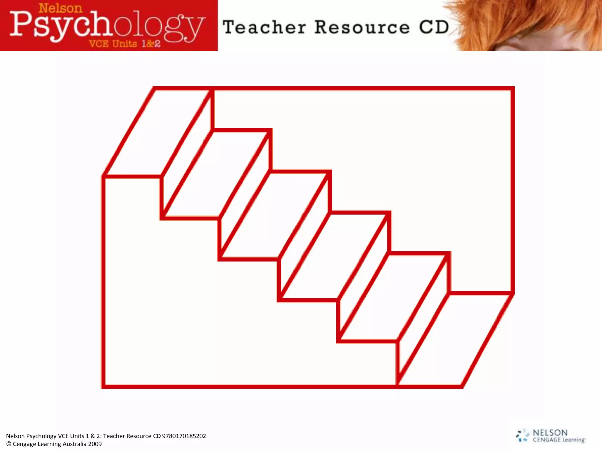 Nelson Psychology VCE Units 1 & 2: Teacher Resource CD 9780170185202
© Cengage Learning Australia 2009
 