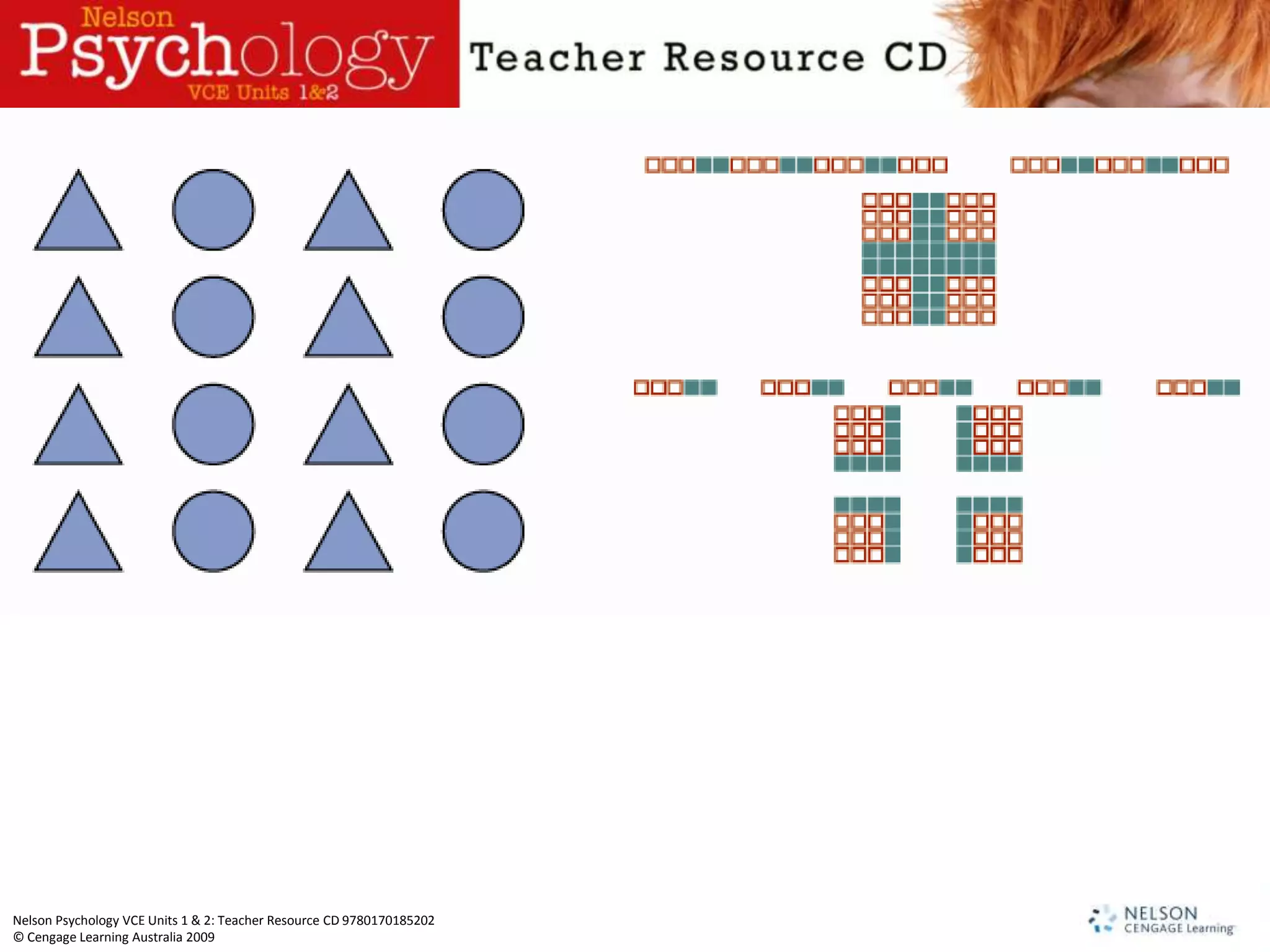 Nelson Psychology VCE Units 1 & 2: Teacher Resource CD 9780170185202
© Cengage Learning Australia 2009
 