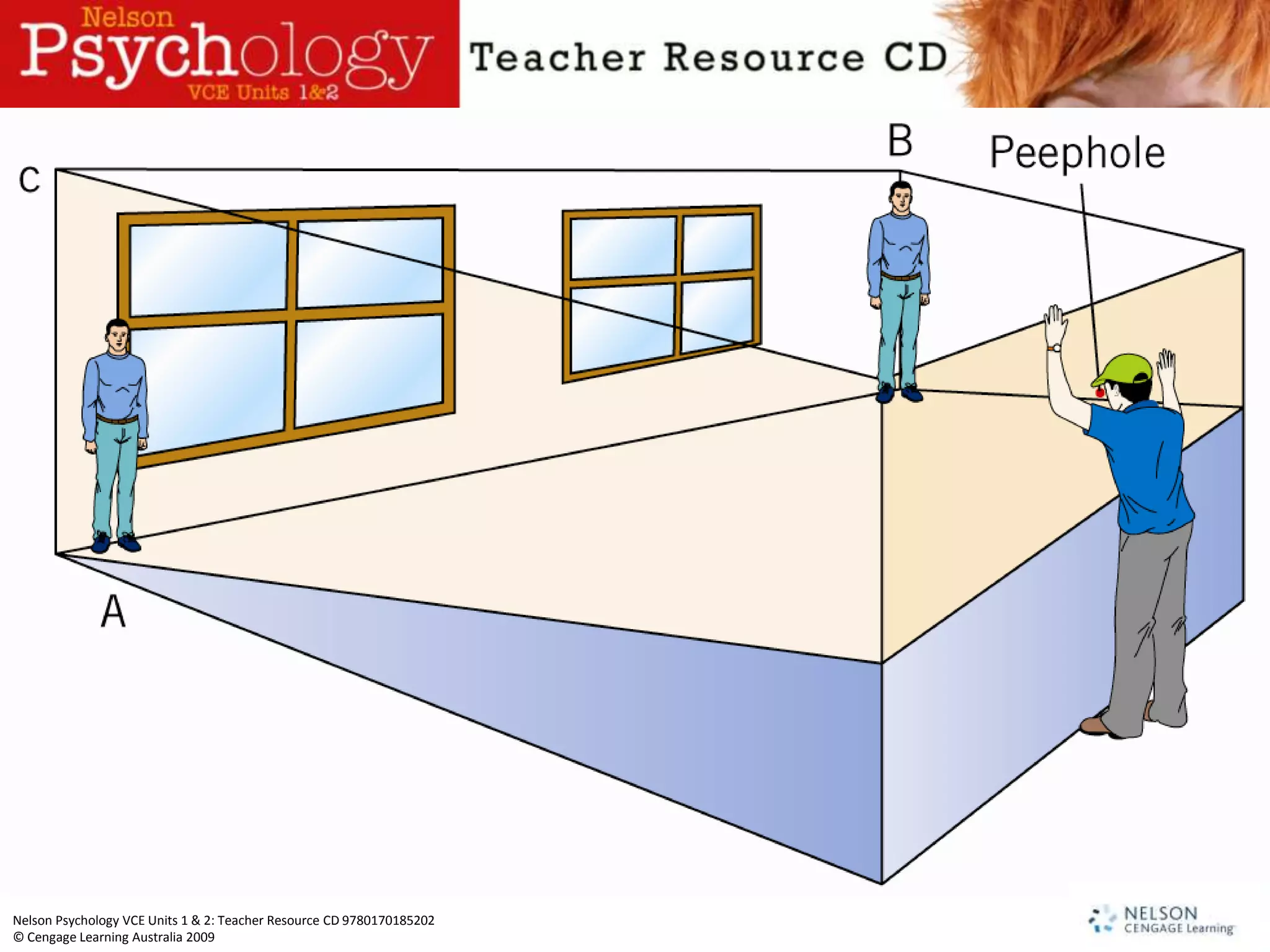 Nelson Psychology VCE Units 1 & 2: Teacher Resource CD 9780170185202
© Cengage Learning Australia 2009
 