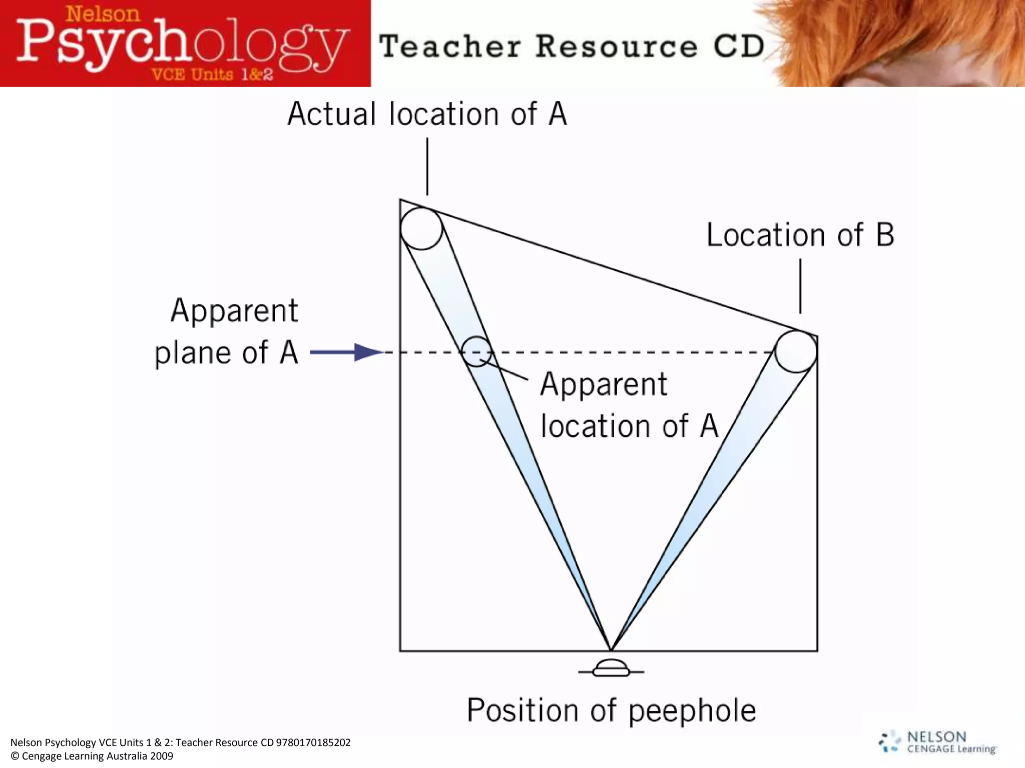 Nelson Psychology VCE Units 1 & 2: Teacher Resource CD 9780170185202
© Cengage Learning Australia 2009
 