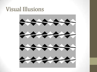 Visual perception images (organisation & interpretation) Slide 35