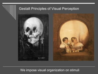 Gestalt Principles of Visual Perception
We impose visual organization on stimuli
 