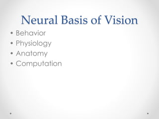 Neural Basis of Vision
• Behavior
• Physiology
• Anatomy
• Computation
 