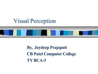 Visual Perception
By, Jaydeep Prajapati
CB Patel Computer College
TY BCA-3
 