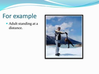 For example
 Adult standing at a

distance.

 