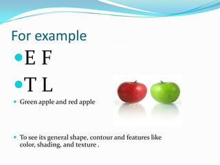For example

E F
T L
 Green apple and red apple

 To see its general shape, contour and features like

color, shading, and texture .

 