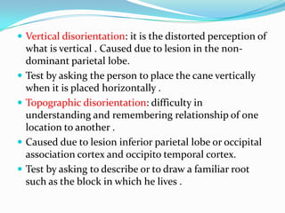  Vertical disorientation: it is the distorted perception of








what is vertical . Caused due to lesion in the nondominant parietal lobe.
Test by asking the person to place the cane vertically
when it is placed horizontally .
Topographic disorientation: difficulty in
understanding and remembering relationship of one
location to another .
Caused due to lesion inferior parietal lobe or occipital
association cortex and occipito temporal cortex.
Test by asking to describe or to draw a familiar root
such as the block in which he lives .

 