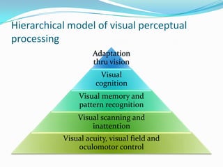 Hierarchical model of visual perceptual
processing
Adaptation
thru vision
Visual
cognition

Visual memory and
pattern recognition
Visual scanning and
inattention
Visual acuity, visual field and
oculomotor control

 