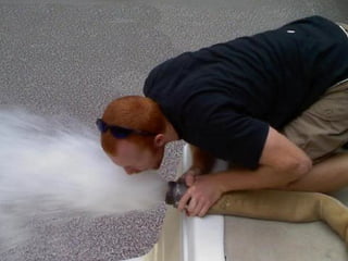 Picture: Firehose
drinking
 