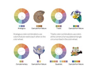 Various color palettes
 