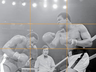 Ali Fighting picture
 