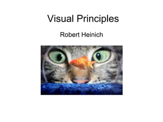 Visual Principles      Robert Heinich 