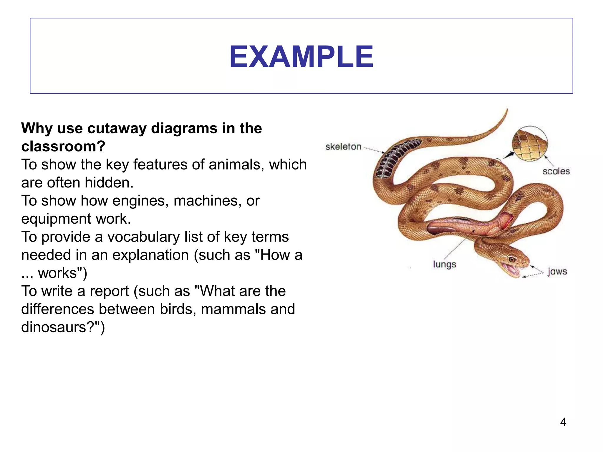 EXAMPLE
4
Why use cutaway diagrams in the
classroom?
To show the key features of animals, which
are often hidden.
To show how engines, machines, or
equipment work.
To provide a vocabulary list of key terms
needed in an explanation (such as "How a
... works")
To write a report (such as "What are the
differences between birds, mammals and
dinosaurs?")
 