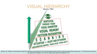 VISUAL HIERARCHY
Warren, M. (1993a). A hierarchical model for evaluation and treatment of visual perceptual dysfunction in adult acquired brain injury, part 1. The American Journal of
Occupational Therapy, 47(1), 42–54. https://doi.org/10.5014/ajot.47.1.42
Warren, 1993
 