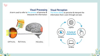 Visual Perception
The brains ability to perceive & interpret the
information that is seen through out eyes
Visual Processing
A term used to refer to the process of perceive &
interprate the information
 