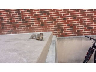 Visual representation of macro nano scale