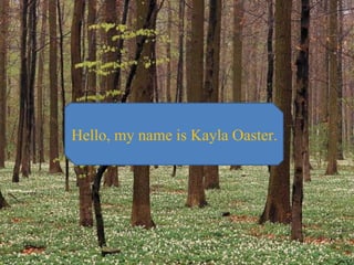 Hello, my name is Kayla Oaster. 
