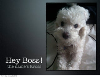 Hey Boss!
           the name’s Kross

Wednesday, January 25, 2012
 