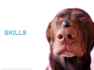 Administration Assistant Postgraduate Coursework
Applied Linguistics
November 2008-March 2011
• organised teaching practicum placements, thesis
  examiners and facilitated payments
• updated and implemented student handbooks
• handled enquiries from current and prospective students
• Publications Coordinator
• processed international applications with TRIM software
• created and managed email lists
• created documents and spreadsheets as needed
• provided administrative and technical assistance to staff
 