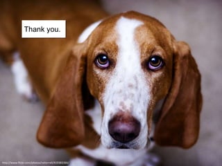 If I might be suitable for a
                                    project you’re working
                              on, or you want to find out
                                     more about my work,
                                             or just say hi,
                                     click on any of these
                                                   buttons!


Or email me via my webpage:
 