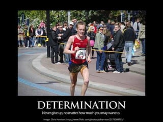 Image: Chris Harrison: http://www.flickr.com/photos/cdharrison/2575008703/
 