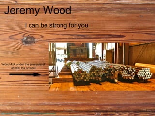 Jeremy Wood Visual Resume