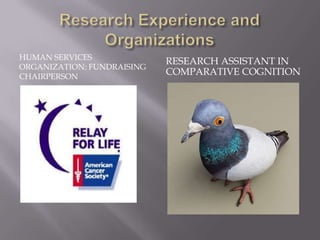 HUMAN SERVICES
                            RESEARCH ASSISTANT IN
ORGANIZATION: FUNDRAISING
CHAIRPERSON
                            COMPARATIVE COGNITION
 