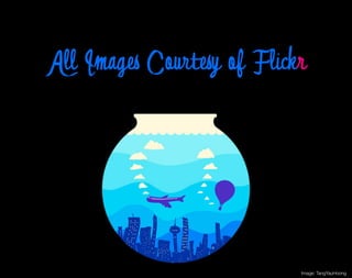 All Images Courtesy of Flickr




                            Image: TangYauHoong
 