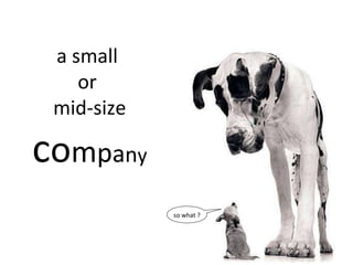 “ You’ve got to find what you love. Going to bed at night saying I’ve done something wonderful.  That’s what mattered.” Steve Jobs 