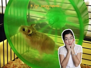 И тут закрутилось…

 