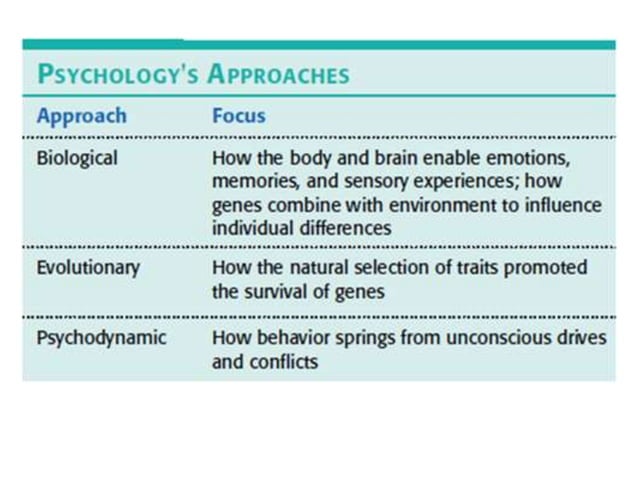 AP Psych Visual review | PPT