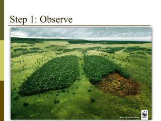 Step 1: Observe
 