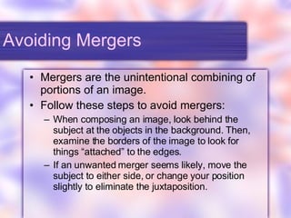 Avoiding Mergers Mergers are the unintentional combining of portions of an image. Follow these steps to avoid mergers: When composing an image, look behind the subject at the objects in the background. Then, examine the borders of the image to look for things “attached” to the edges. If an unwanted merger seems likely, move the subject to either side, or change your position slightly to eliminate the juxtaposition. 