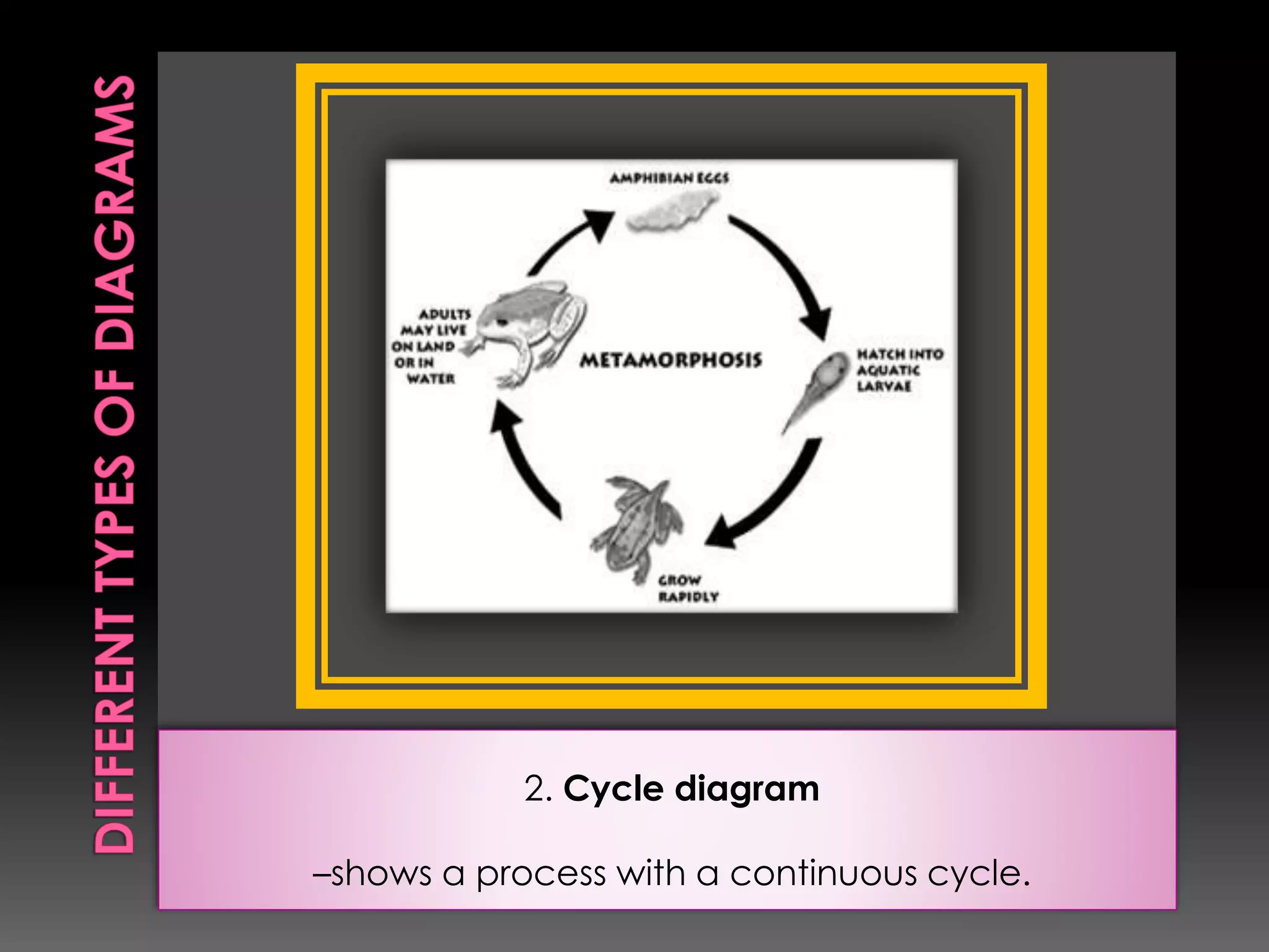2. Cycle diagram 
–shows a process with a continuous cycle. 
 
