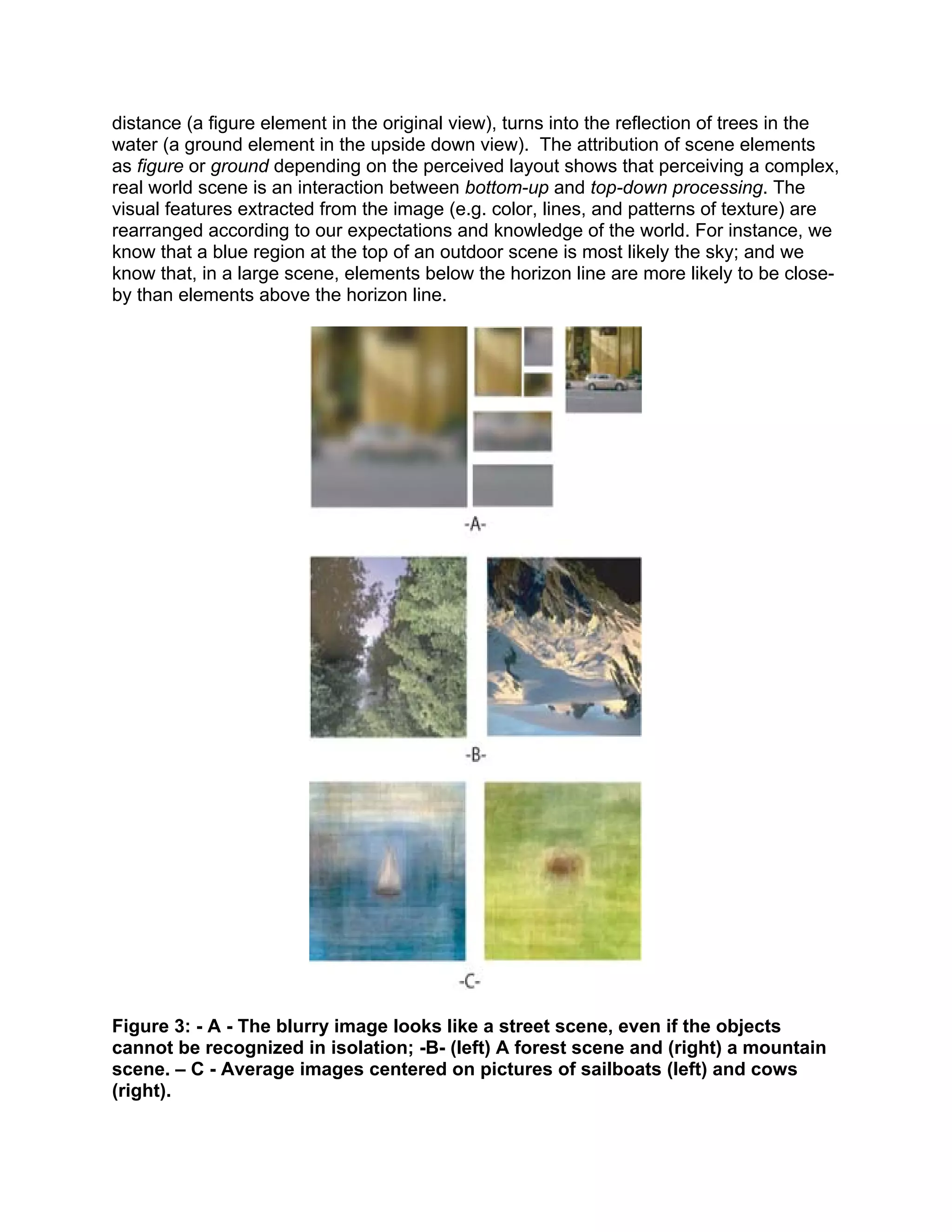 distance (a figure element in the original view), turns into the reflection of trees in the
water (a ground element in the upside down view). The attribution of scene elements
as figure or ground depending on the perceived layout shows that perceiving a complex,
real world scene is an interaction between bottom-up and top-down processing. The
visual features extracted from the image (e.g. color, lines, and patterns of texture) are
rearranged according to our expectations and knowledge of the world. For instance, we
know that a blue region at the top of an outdoor scene is most likely the sky; and we
know that, in a large scene, elements below the horizon line are more likely to be close-
by than elements above the horizon line.
Figure 3: - A - The blurry image looks like a street scene, even if the objects
cannot be recognized in isolation; -B- (left) A forest scene and (right) a mountain
scene. – C - Average images centered on pictures of sailboats (left) and cows
(right).
 