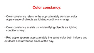 Color Constancy Example Apple Visual science: All in one | PPTX