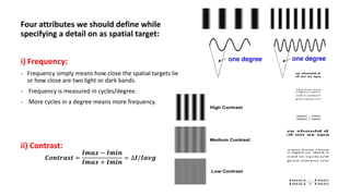 Visual science: All in one | PPTX