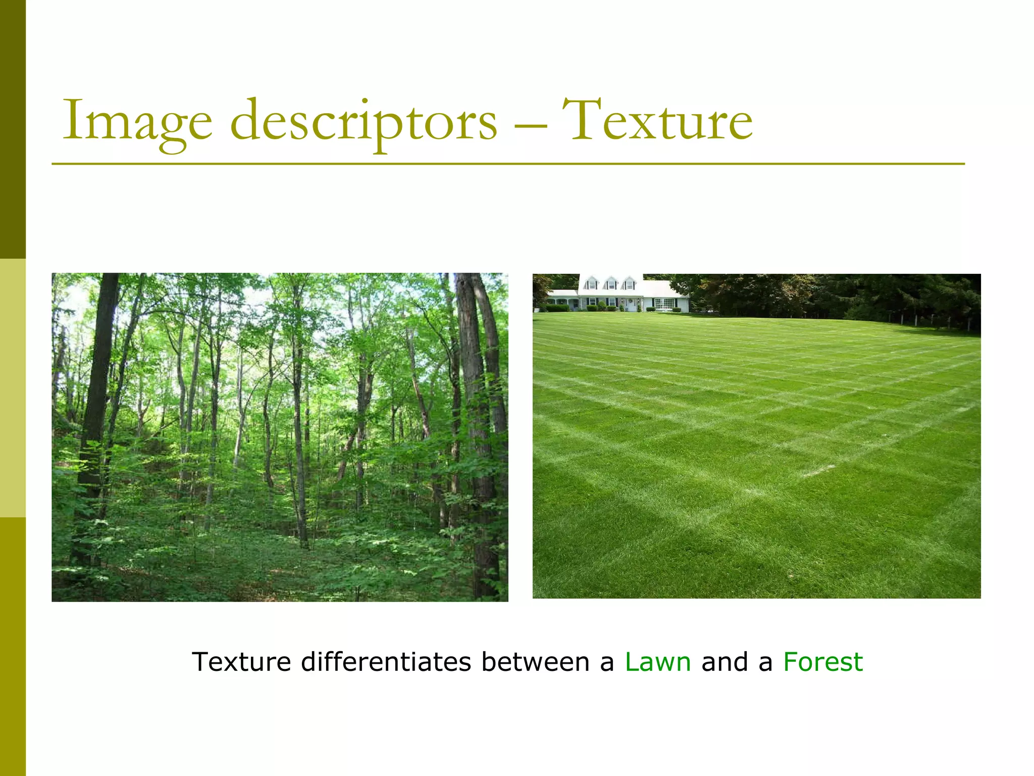 Image descriptors – Texture  Texture differentiates between a  Lawn  and a  Forest 