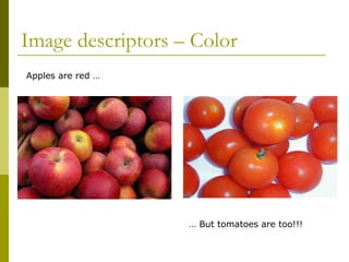 Image descriptors – Color  Apples are red …  …  But tomatoes are too!!! 