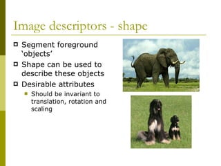 Image descriptors - shape Segment foreground ‘objects’  Shape can be used to describe these objects Desirable attributes Should be invariant to translation, rotation and scaling 