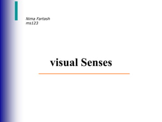 Nima Fartash
ms123
visual Senses
 