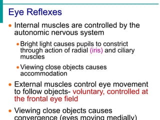visual sense eye structures of eye anatomy of eye .pptx
